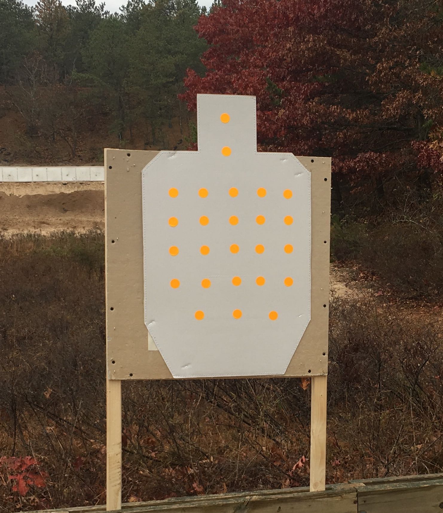 target – rifleshooter.com